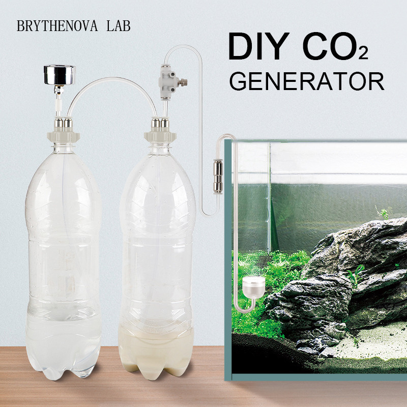 Aquarium Moss - CO2 Jeneratörü Akvaryum Bitkili Tank CO2