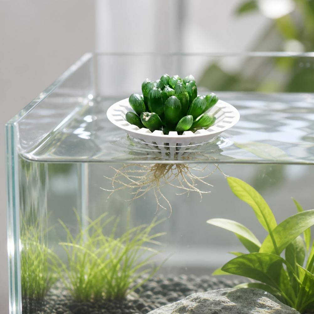 Aquarium Plant Holder - Akvaryum Hidroponik Saksı 3D Baskılı Yüzen