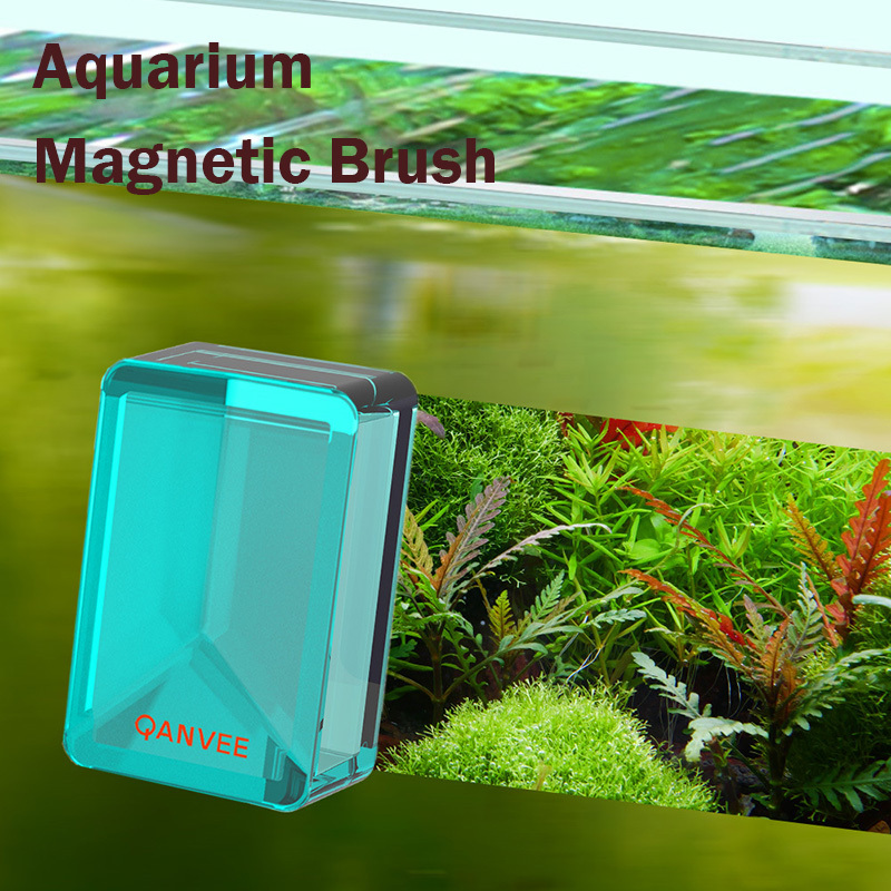 Planted Aquarium Cleaning - Qanvee akvaryum manyetik fırça temizleme araçları
