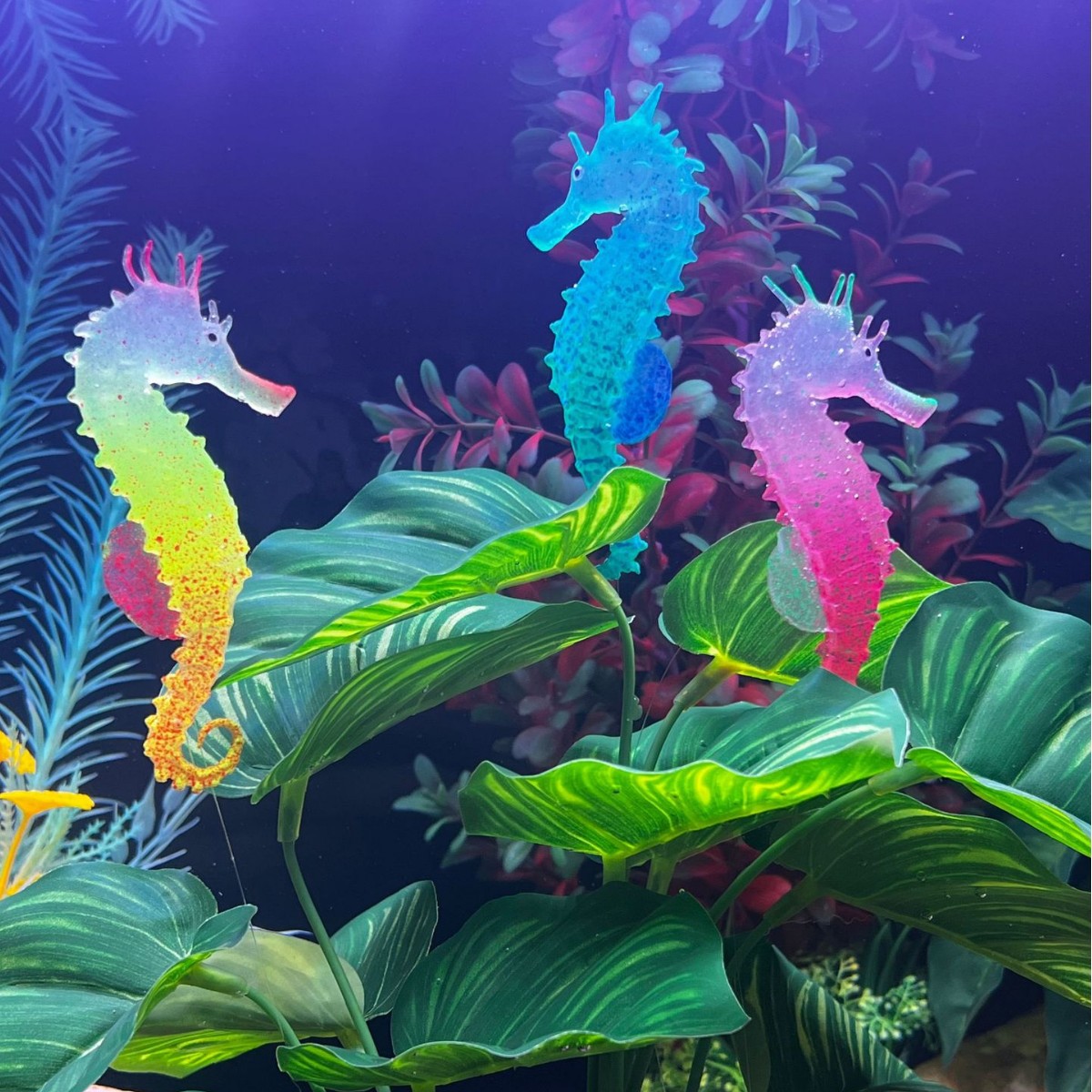 Aquarium Plant Substrate - Simüle Edilmiş Işıklı Denizatı Balık Tankı