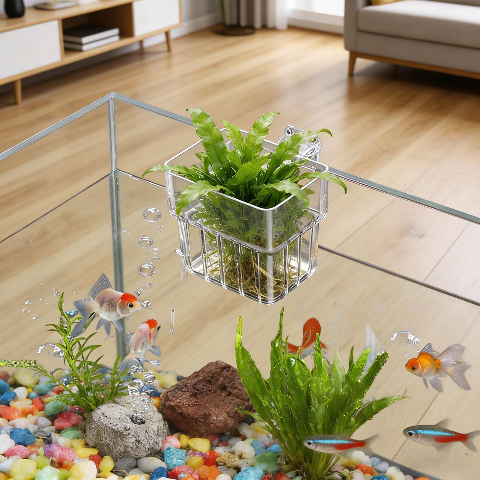 Aquarium Plants Live - Balık Tankı Sabit Sepet Duvara Monte
