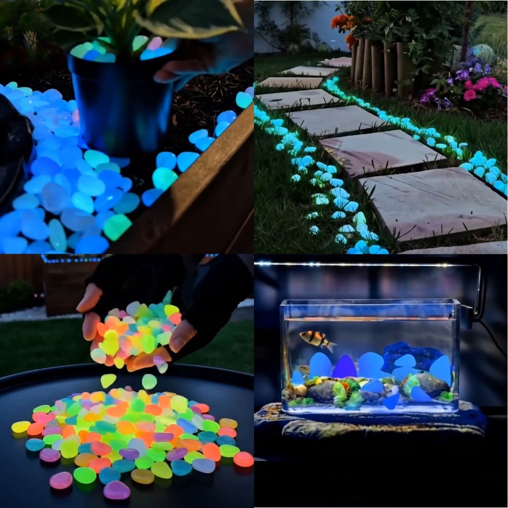 Plant Aquarium Pot - Karanlıkta Parlayan Renkli Taşlar, Bahçe Taşları,