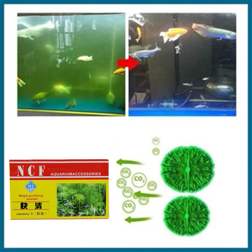 Aquarium Moss - Akvaryum Su Arındırıcı Toz Koku Giderme