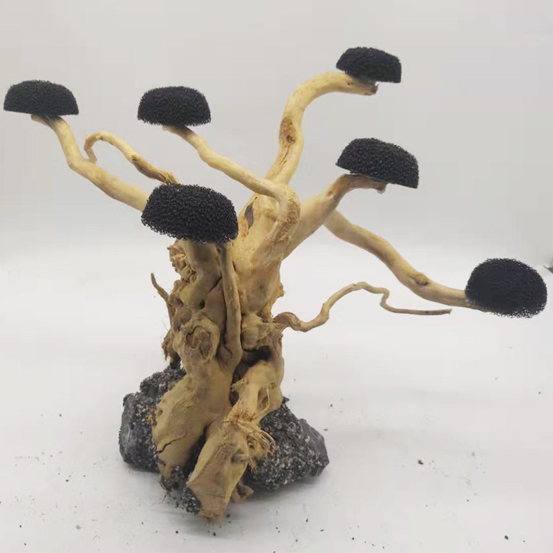 Aquarium Moss - Akvaryum Driftwood Peyzaj Dekorasyon Balık Tankı