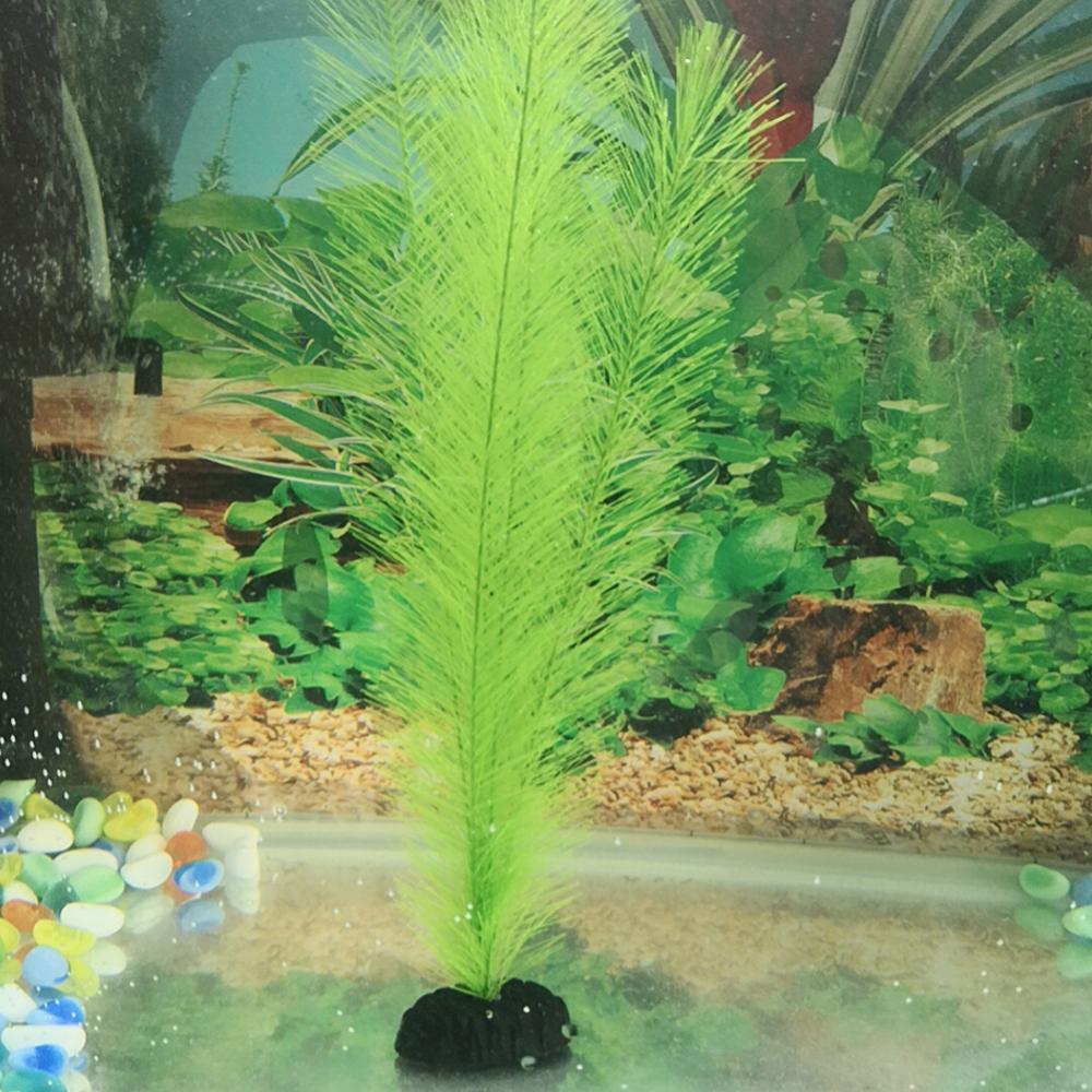 1/3 adet 28/40cm akvaryum balı - Live Plant Aquarium incelemesi ve fiyatı