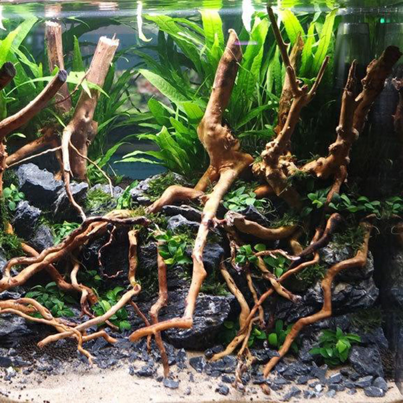 Akvaryum Mikro Peyzajı DIY Ev  - Aquarium Driftwood incelemesi ve fiyatı