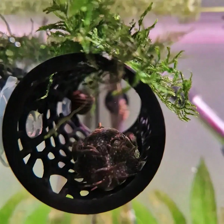 Akvaryum Balık Hideout Siyah I - Aquarium Plants Live incelemesi ve fiyatı