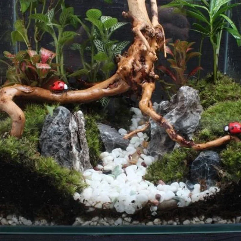 Doğal ağaç gövdesi Driftwood a - Aquarium Plant Substrate incelemesi ve fiyatı