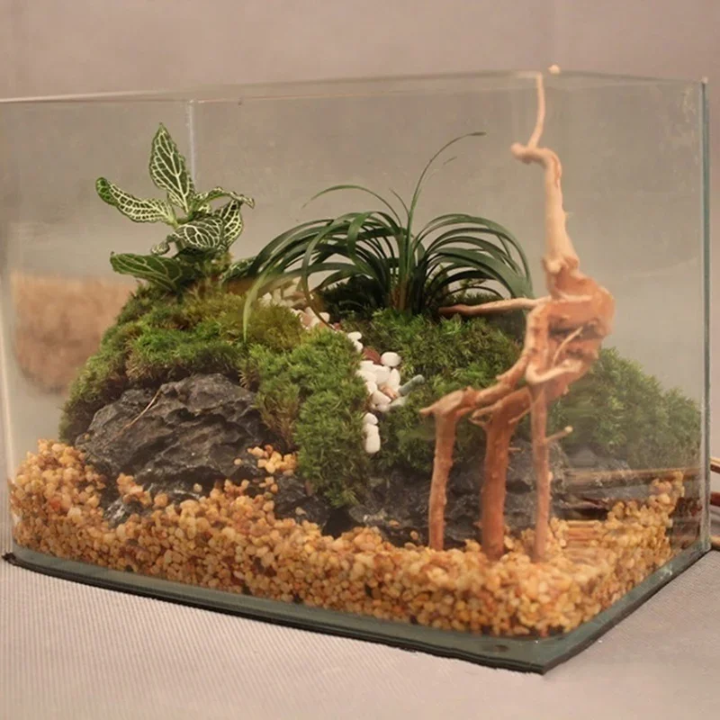 Doğal ağaç gövdesi Driftwood a - Aquarium Plant Substrate incelemesi ve fiyatı