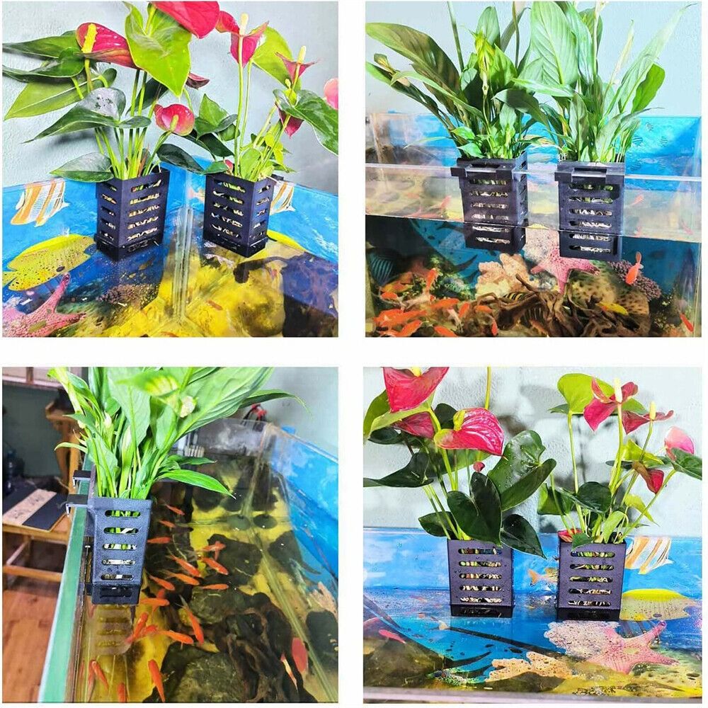 Emersed Bitkiler için Kancalı  - Aquarium Plant Holder incelemesi ve fiyatı