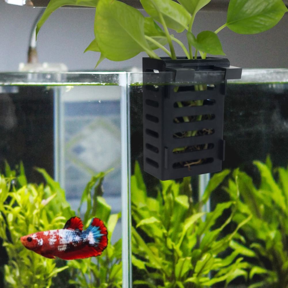 Emersed Bitkiler için Kancalı  - Aquarium Plant Holder incelemesi ve fiyatı