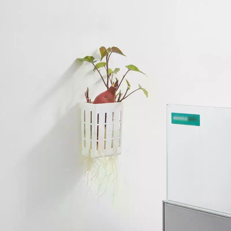 1 Adet Hidroponik Destek Sepet - Plant Aquarium Pot incelemesi ve fiyatı