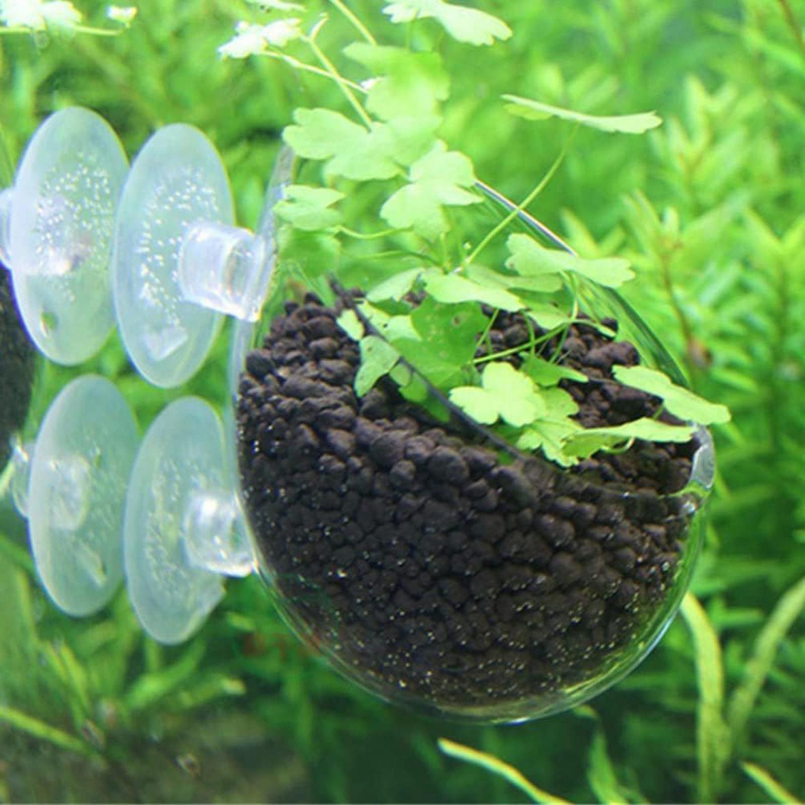 Akvaryum Bitki Tutucu Cam Su B - Aquarium Moss incelemesi ve fiyatı