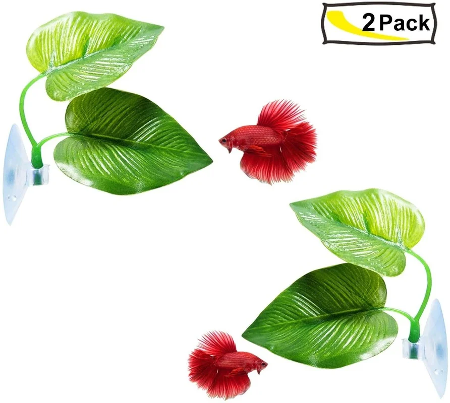 Betta Balık Yaprağı Hamak Bett - Aquarium Moss incelemesi ve fiyatı