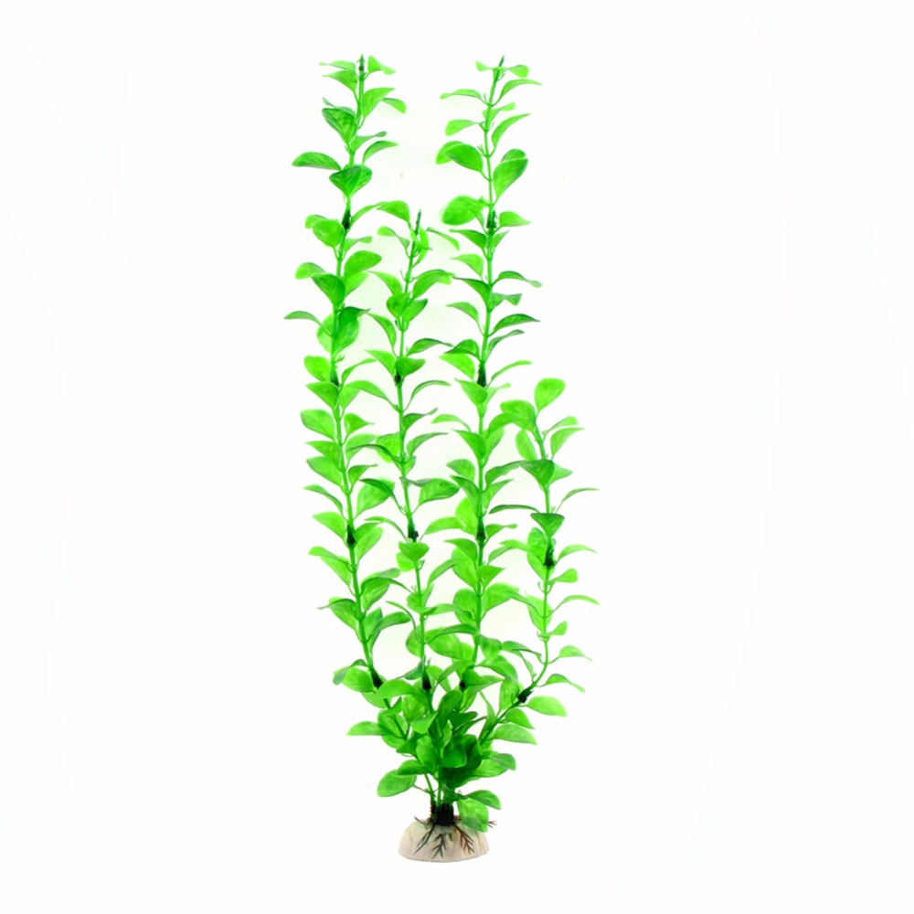 Süs Akvaryum Aksesuarları yapa - Live Plant Aquarium incelemesi ve fiyatı