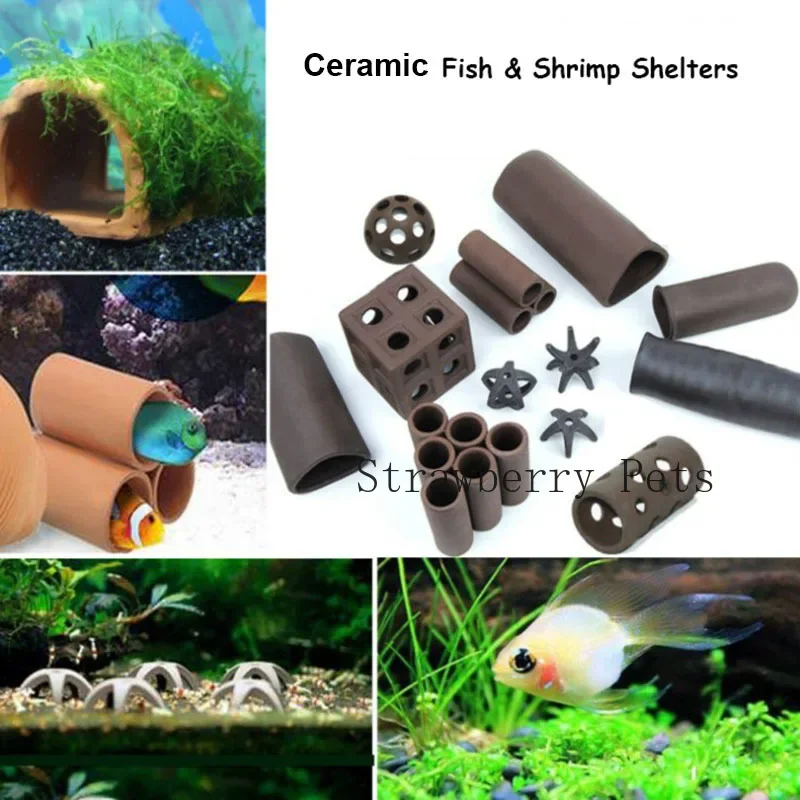 Seramik Akvaryum Dekorasyon Ba - Aquarium Moss incelemesi ve fiyatı