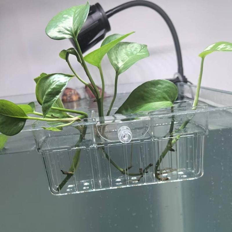 Hidroponik Bitki Sepeti Gıda S - Planted Tank incelemesi ve fiyatı