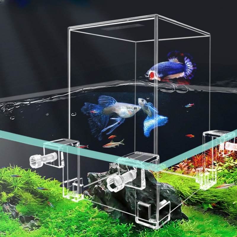 Yaratıcı akvaryum tankları neg - Plant Aquarium Pot incelemesi ve fiyatı