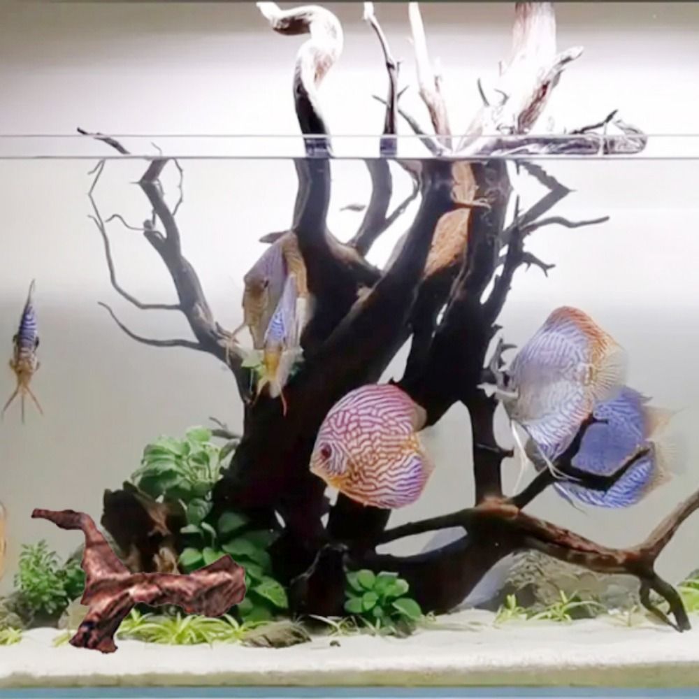 Yaratıcı Düzensiz Şekilli Merc - Aquarium Plant Substrate incelemesi ve fiyatı