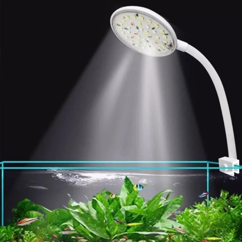 Yeni Mini akvaryum takılabilir - Live Plant Aquarium incelemesi ve fiyatı
