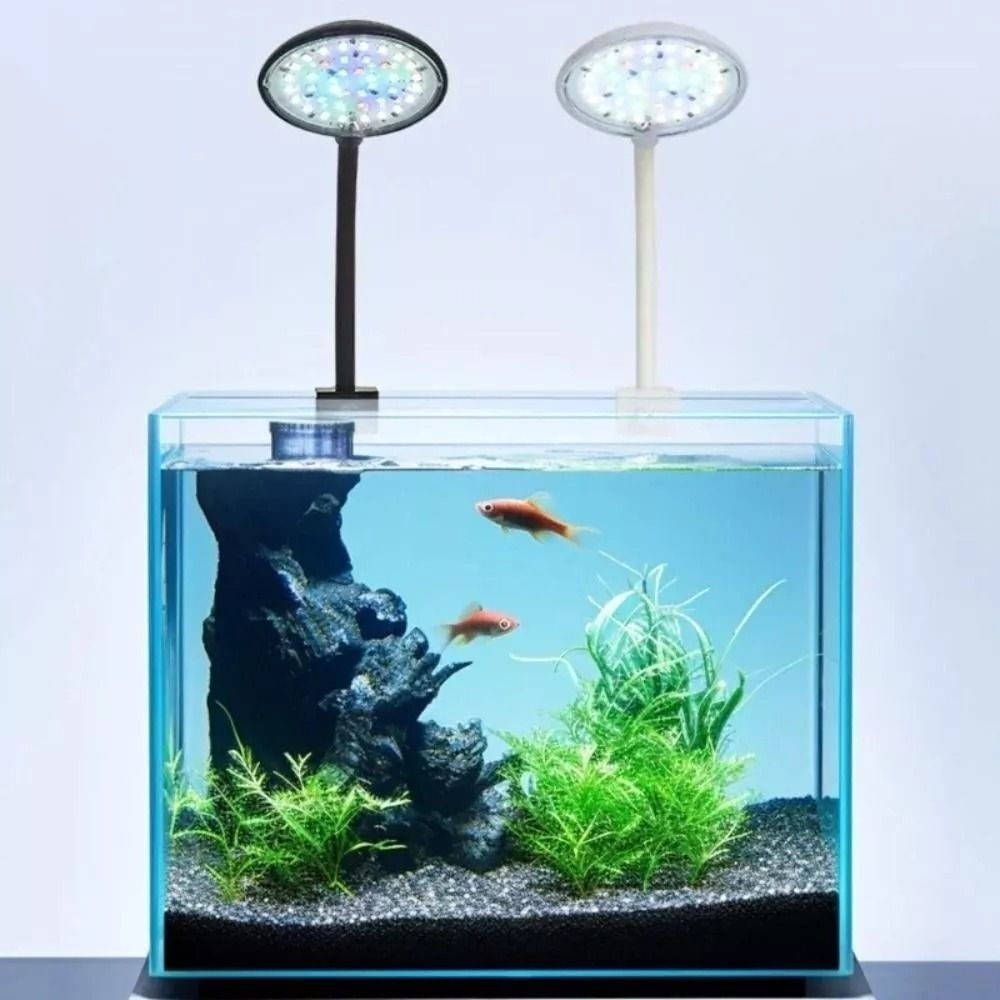 Yeni Mini akvaryum takılabilir - Live Plant Aquarium incelemesi ve fiyatı