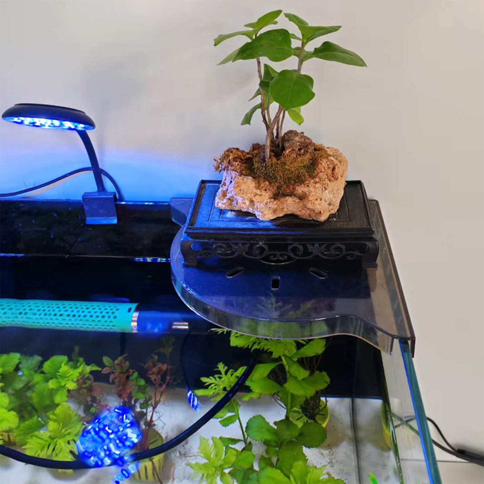 Üçgen Balık Tankı Köşe Depolam - Aquarium Plants Live incelemesi ve fiyatı