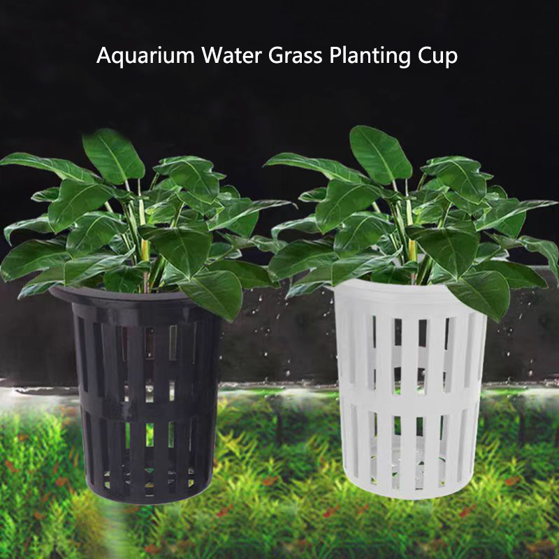 1/3 adet akvaryum bitki sepeti - Aquarium Plants Live incelemesi ve fiyatı