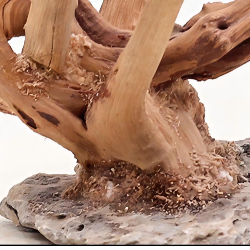 1 adet akvaryum peyzaj ahşap s - Aquarium Driftwood incelemesi ve fiyatı
