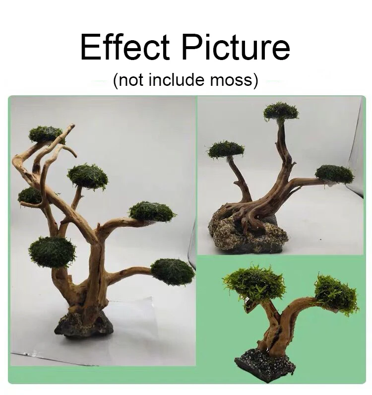 Akvaryum Driftwood Peyzaj Deko - Aquarium Moss incelemesi ve fiyatı