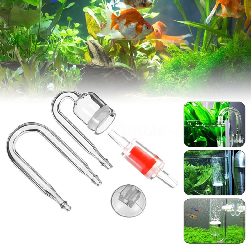 4 adet Set DIY CO2 difüzör içi - Aquarium Moss incelemesi ve fiyatı