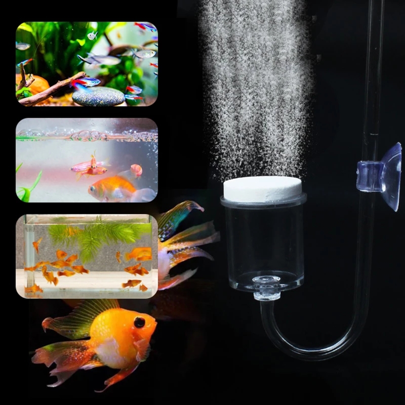 4 adet Set DIY CO2 difüzör içi - Aquarium Moss incelemesi ve fiyatı
